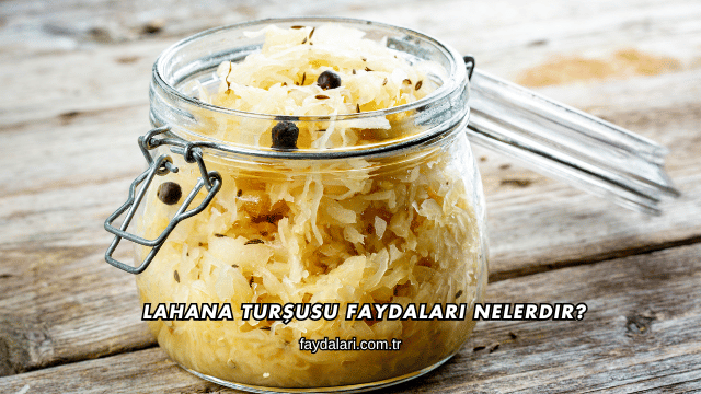 Lahana Turşusu Faydaları Nelerdir?