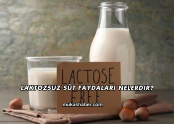 Laktozsuz Süt Faydaları Nelerdir?