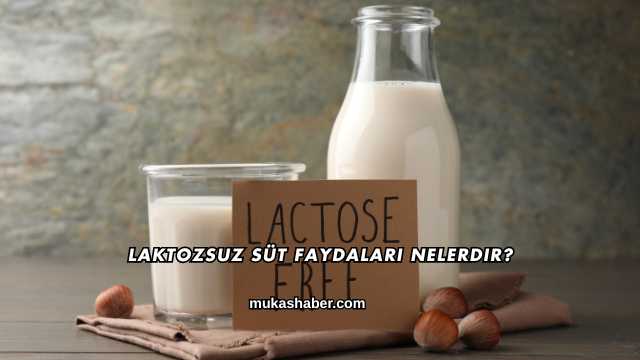 Laktozsuz Süt Faydaları Nelerdir?