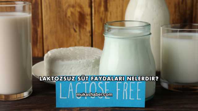 Laktozsuz Süt Faydaları Nelerdir?