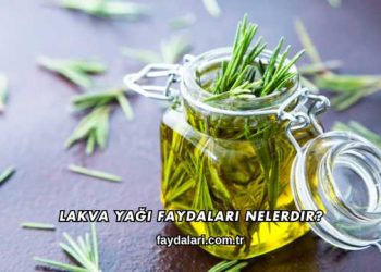 Lakva Yağı Faydaları Nelerdir?