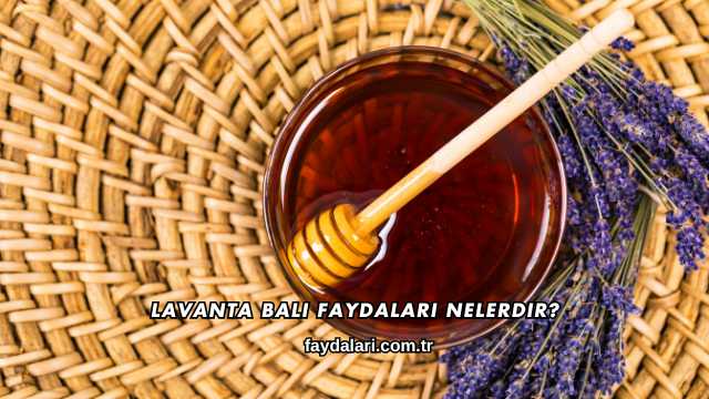 Lavanta Balı Faydaları Nelerdir?
