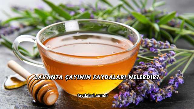Lavanta Çayının Faydaları Nelerdir?