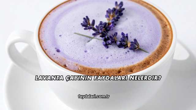 Lavanta Çayının Faydaları Nelerdir?