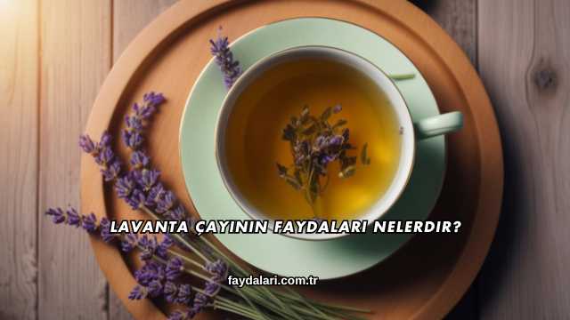 Lavanta Çayının Faydaları Nelerdir?