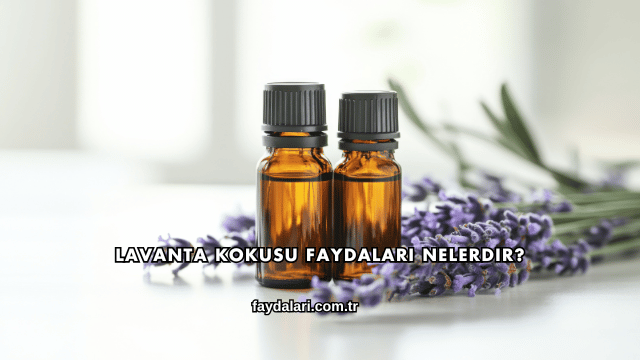 Lavanta Kokusu Faydaları Nelerdir?