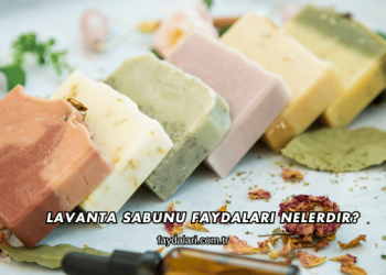 Lavanta Sabunu Faydaları Nelerdir?