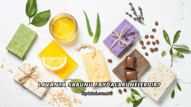 Lavanta Sabunu Faydaları Nelerdir?