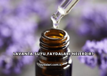 Lavanta Suyu Faydaları Nelerdir?
