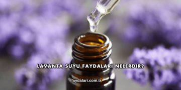Lavanta Suyu Faydaları Nelerdir?