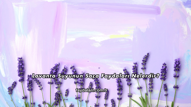 Lavanta Suyunun Saça Faydaları Nelerdir?