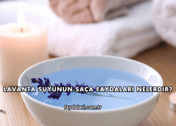 Lavanta Suyunun Saça Faydaları Nelerdir?