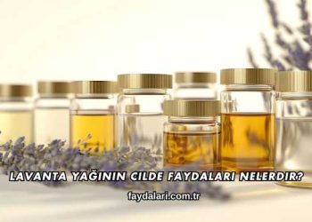 Lavanta Yağının Cilde Faydaları Nelerdir?