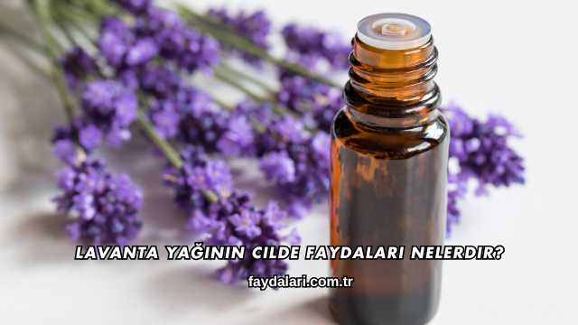 Lavanta Yağının Cilde Faydaları Nelerdir?