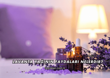 Lavanta Yağının Faydaları Nelerdir?
