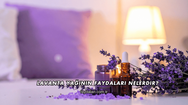 Lavanta Yağının Faydaları Nelerdir?