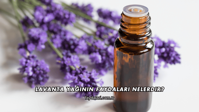 Lavanta Yağının Faydaları Nelerdir?