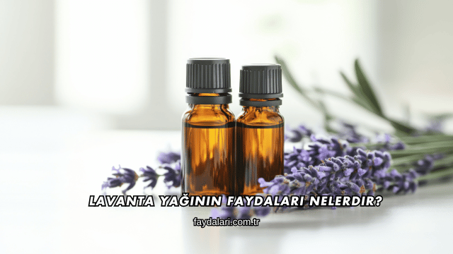Lavanta Yağının Faydaları Nelerdir?