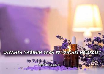 Lavanta Yağının Saça Faydaları Nelerdir?