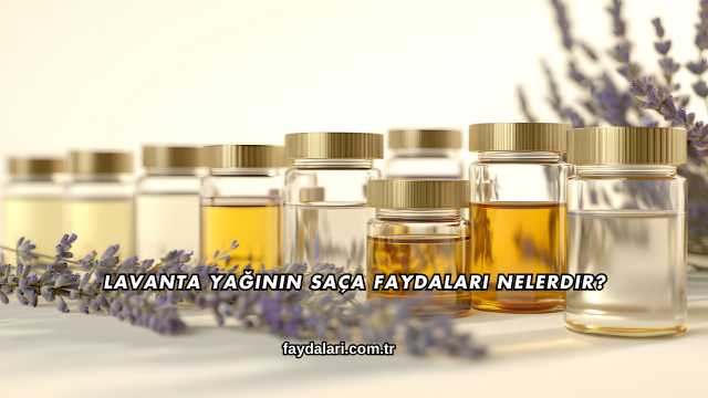 Lavanta Yağının Saça Faydaları Nelerdir?