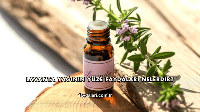 Lavanta Yağının Yüze Faydaları Nelerdir?