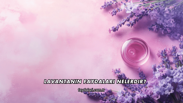 Lavantanın Faydaları Nelerdir