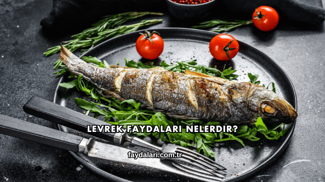 Levrek Faydaları Nelerdir?