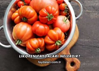 Likopen Faydaları Nelerdir?