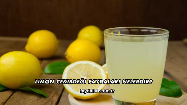 Limon Çekirdeği Faydaları Nelerdir?