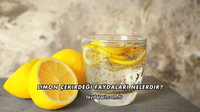 Limon Çekirdeği Faydaları Nelerdir?