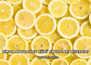 Limon Maydanoz Kürü Faydaları Nelerdir?