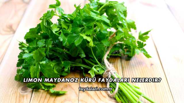 Limon Maydanoz Kürü Faydaları Nelerdir?