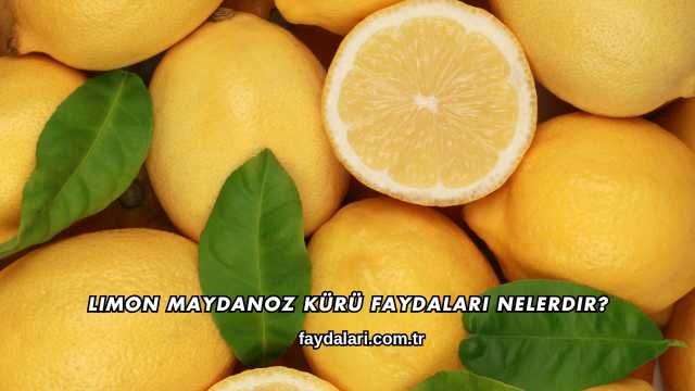 Limon Maydanoz Kürü Faydaları Nelerdir?