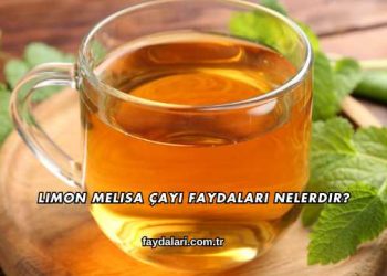 Limon Melisa Çayı Faydaları Nelerdir?