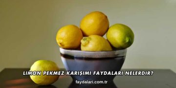 Limon Pekmez Karışımı Faydaları Nelerdir?