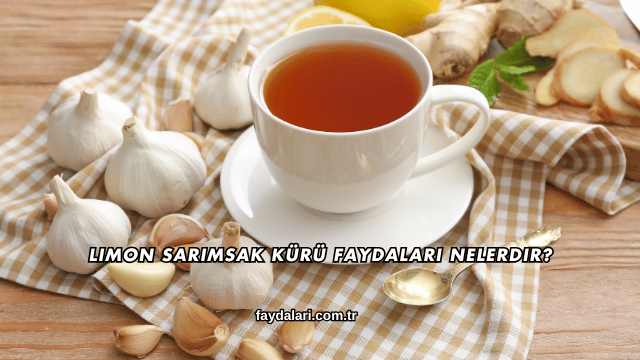 Limon Sarımsak Kürü Faydaları Nelerdir?