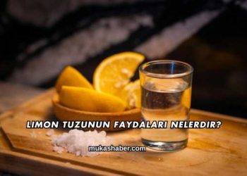 Limon Tuzunun Faydaları Nelerdir?