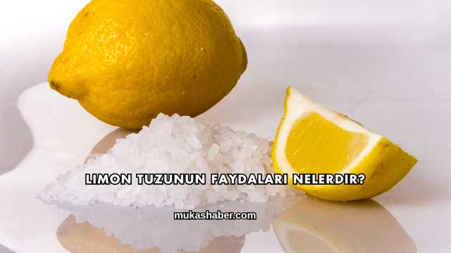 Limon Tuzunun Faydaları Nelerdir?