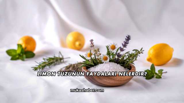 Limon Tuzunun Faydaları Nelerdir?