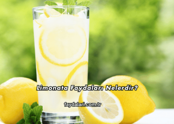 Limonata Faydaları Nelerdir?