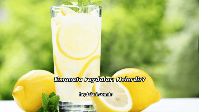 Limonata Faydaları Nelerdir?