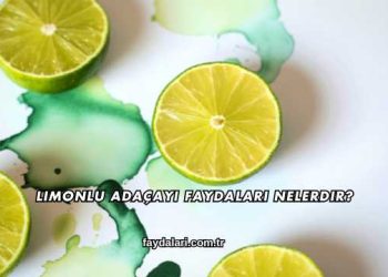 Limonlu Adaçayı Faydaları Nelerdir?