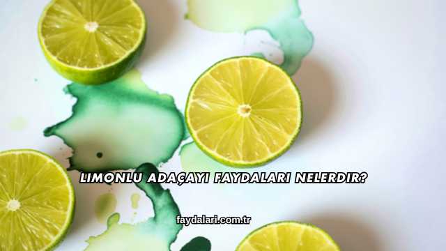 Limonlu Adaçayı Faydaları Nelerdir?