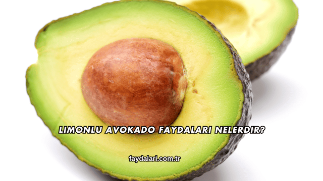 Limonlu Avokado Faydaları Nelerdir?