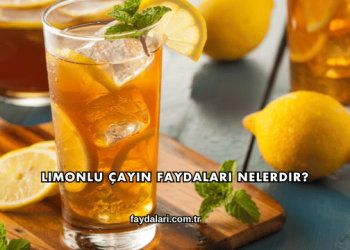 Limonlu Çayın Faydaları Nelerdir?