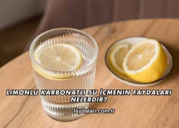 Limonlu Karbonatlı Su İçmenin Faydaları Nelerdir?