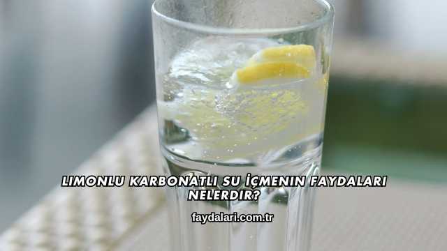 Limonlu Karbonatlı Su İçmenin Faydaları Nelerdir?