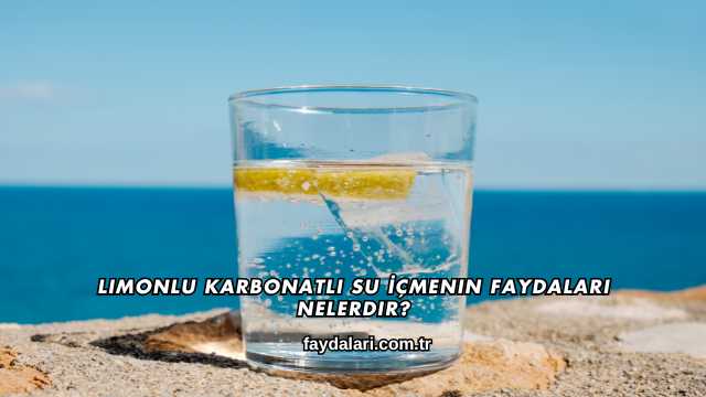 Limonlu Karbonatlı Su İçmenin Faydaları Nelerdir?