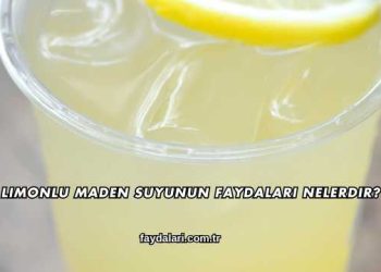 Limonlu Maden Suyunun Faydaları Nelerdir?