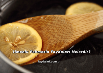 Limonlu Pekmezin Faydaları Nelerdir?